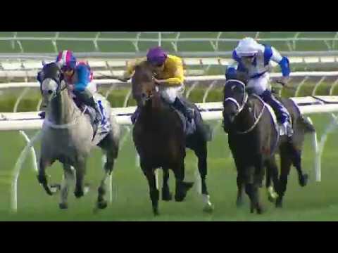 2015 ATC  Pro Ride Warwick Stakes