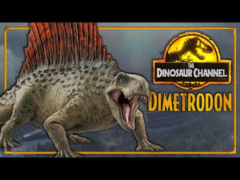 What Was The Dimetrodon? - The Dinosaur Channel