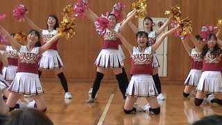 【文化祭】早稲田チアリーダー　cheer  2013.9.29