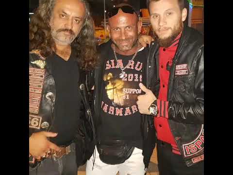 bulldog mit red devils