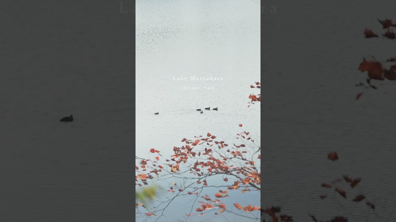 松原湖で体験した、五感で楽しむセラピーウォーク。赤黄橙の紅葉や、水面の揺らぎ。木々の音、鳥の声、川のせせらぎ、落ち葉を踏む音。森を見渡すと、リスがかじった木の実や、きのこも。 #長野 #紅葉 #松原湖