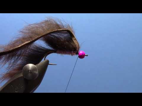 Fly Tying with Ryan - Tungsten Hot Bead Pine Squirrel Leech