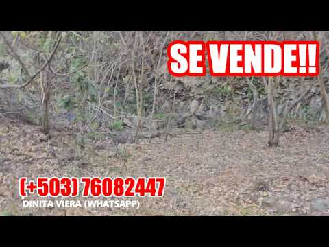 20 MANZANAS PARA PEDRERA EN JAYAQUE LA LIBERTAD. ES UNA MARAVILLA!