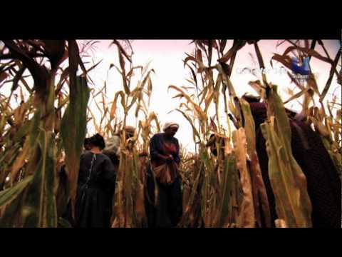 Viasat History Nordic - Civil War 360 promo