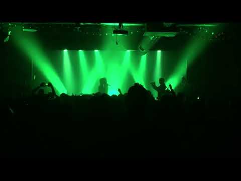 🎶🎶Opus Live Is Life