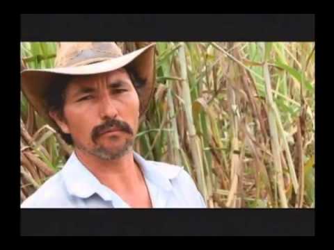 Los Puros Criollos Capítulo 6   La panela