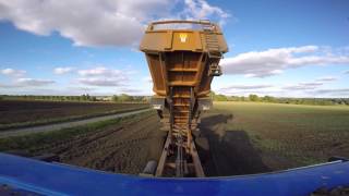 Sugar Beet Harvesting, Suffolk Uk, Vervaet 617, New Holland T.7 200