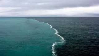 Kontakte - The Ocean Between You and Me