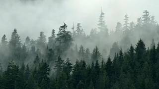 Download lagu B H C  jika mp3