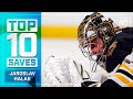 Top 10 Jaroslav Halak Saves from 2019-20 | NHL
