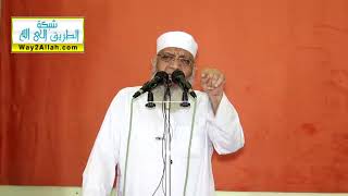 ولربك فاصبر | الشيخ شوقي عبد الصادق image