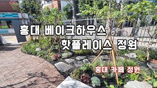 도심 속 카페를 돋보이게 하는 풍경식 정원 둘러보기           /조경/정원/