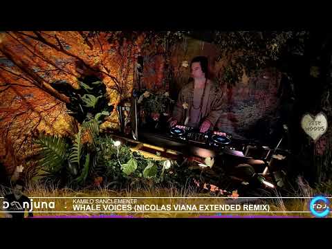 Deep Woods #63 (IPeiqi, DJ Geri, D-Nox, Dabeat, Dmitry Molosh, MOLO, Hernan Catteneo, Jiminey Hop)