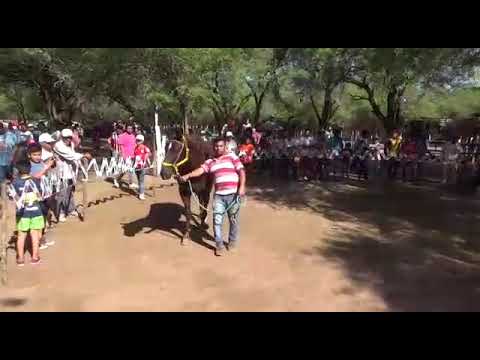 Calavera vs carnicero hipico San Carlos el mojon s-e
