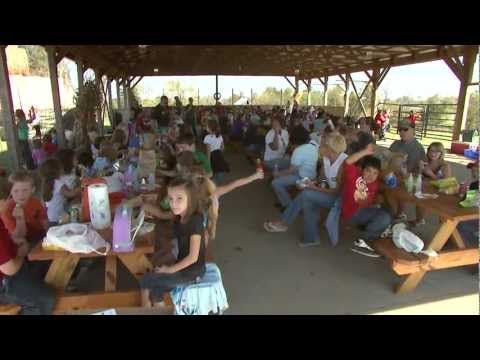 download lagu mp3 mp4 Pumpkin Patch In Memphis, download lagu Pumpkin Patch In Memphis gratis, unduh video klip Pumpkin Patch In Memphis