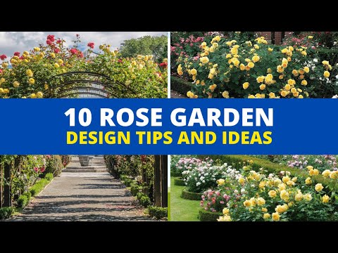 Rose Garden Design Ideas You Need To Know: 10 Tips for Designing Lovely Rose Garden!