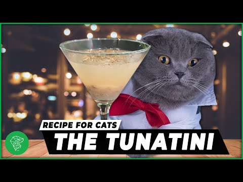 How To Make A 'Tunatini' | The Ultimate DIY Cat Treat