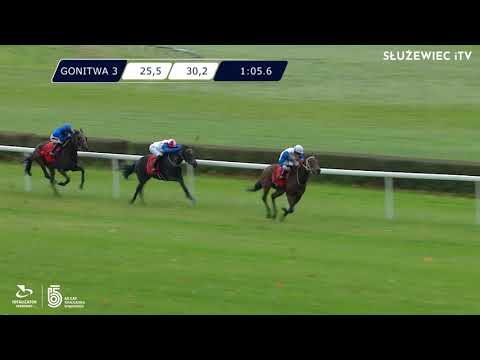 23.10.2021 (D44; G3; Tor: 3,3; 7°C)