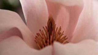 Billie Holiday Deep Song