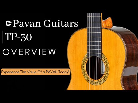 Pavan TP-30 2003 - Spruce Spanish Classical Guitar with Custom Case image 9
