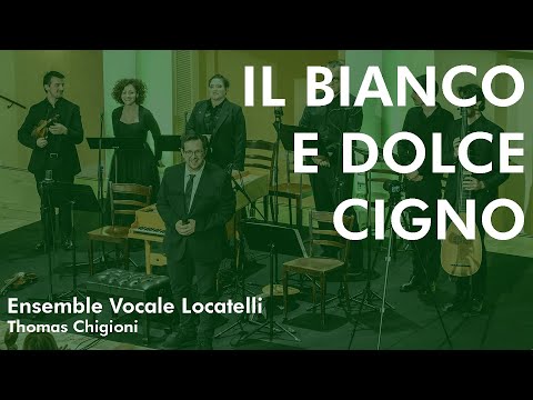 J. Arcadelt, Il bianco e dolce cigno  - Ensemble Vocale Locatelli, Thomas Chigioni