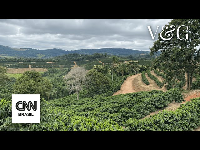 O delicioso mundo dos azeites, cafés e queijos da Serra da Mantiqueira | CNN Viagem & Gastronomia