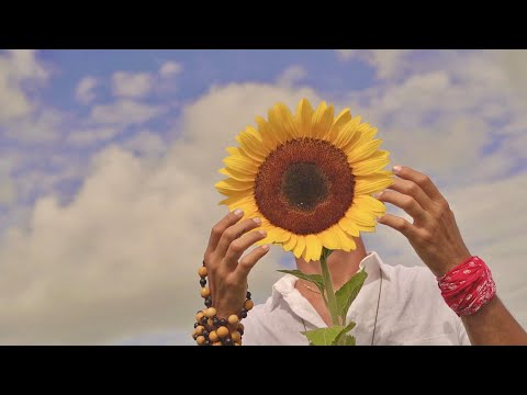 DulceAnahi469’s Video 164146155897 MMND9pQsf5Y