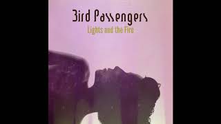 Bird Passengers - Hard Runner