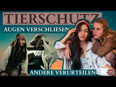 Tierschutz | Augen verschießen? Andere verurteilen? | Nicht mehr in den Spiegel schauen können