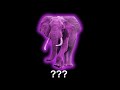 15 Elephant Sound Variations In 30 Seconds