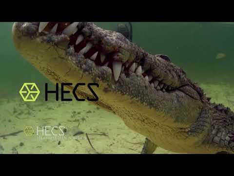 In Your Face Predator Action from the 2019 season