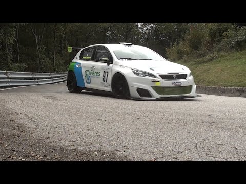 HILLCLIMB SALITA CIVIDALE - CASTELMONTE 2020 - PALAZZO ANDREA - PEUGEOT 308 E1 3000