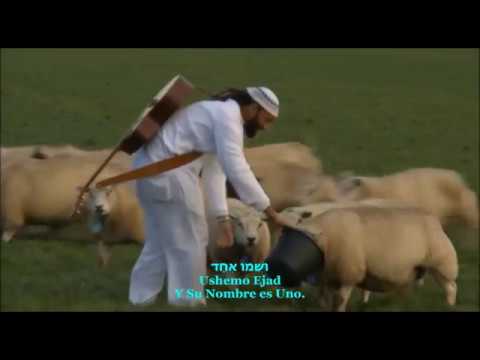 Micha'el Ben David_ Shema Israel