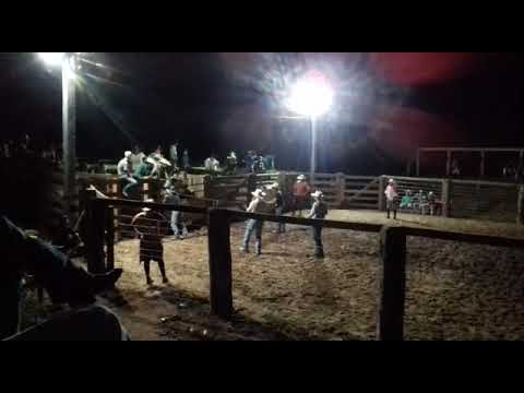 Touro Titanic da Cia rancho fundo,