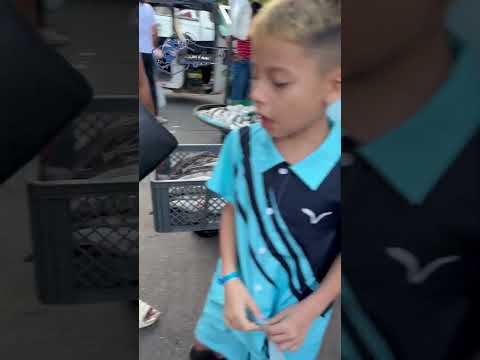 Lunes 22 de diciembre 2025, #PuertoWilches #santander #colombia #parati #elreporterodelriomagdalena