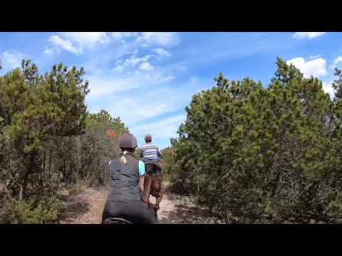 Agroturystyka Jędruś