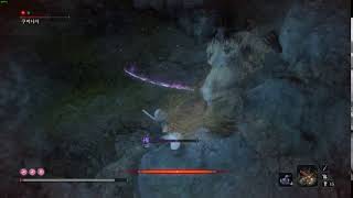 Sekiro 2b back attack (Nier)
