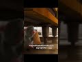 Ratatouille Did This
