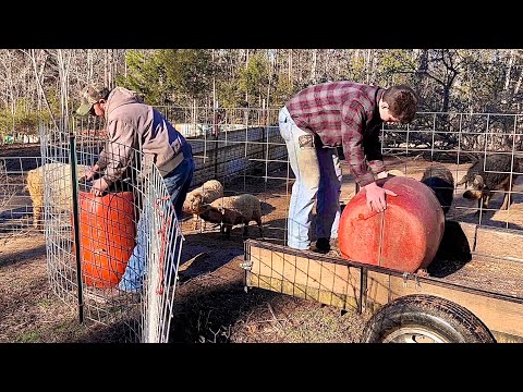 Barrel silage video! How was it?