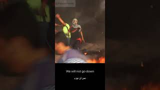 Download lagu we will not go down (Gaza Under Attack) mp3
