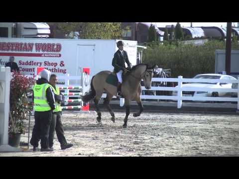 Ard Golden Crisp 6yo stallion 1.25 accumalator Mullingar CSI 2*