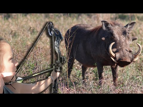 Savage WartHog and Impala with Bow! {Catch Clean Cook} Home Made Biltong Pizza