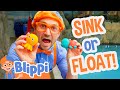 Blippi Plays Sink Or Float In A Dinosaur Museum Blippi Full Episodes