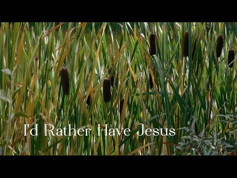 327 SDA Hymn - I'd Rather Have Jesus (Singing w/ Lyrics)