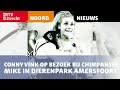 Conny Vink op bezoek bij chimpansee Mike in Dierenpark Amersfoort [RTV Utrecht]