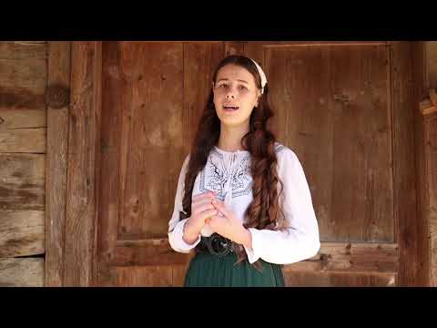 Olarul minunat...Fraţii Lihoni , Nou