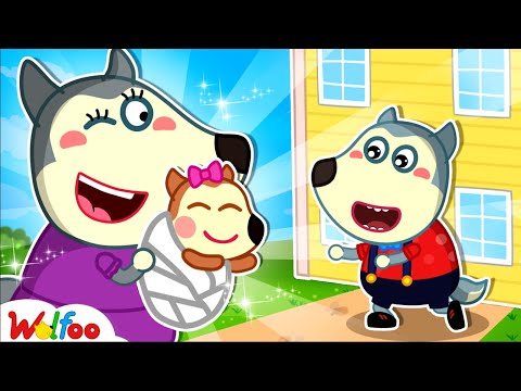 Baby Lucy's Arrival 👶🏻 Wolfoo Learns How to Be a Big Brother 👨‍👩‍👧‍👦 | Wolfoo Channel