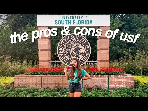 a review of the university of south florida! (greek life, things to do, cost, location, & more :))