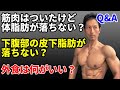 Q&Aコーナー!筋肉はついたけど体脂肪が落ちない?スクワット、デッドリフトはどうすれば重量が上がる?ベントオーバーロウで腰が痛い?下腹部の皮下脂肪が落ちない?外食は何がいい?991QA