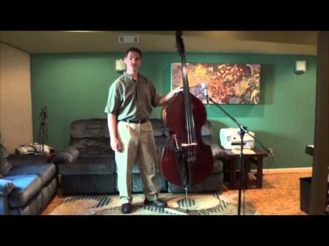 Double Bass Lesson - Standing pt. 1 - Holding the Bass